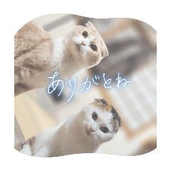 YUSHI_20260323194114