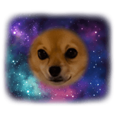 JAM'S_mga_20260323181649