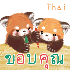 Red Panda Pohe: Everyday Messages! TH