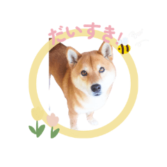 ralfland_20260323182329