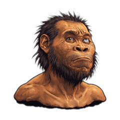 hand writing animals!