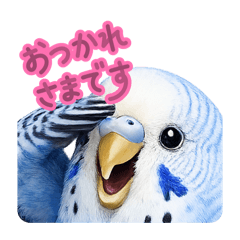 ramram_20260323203338