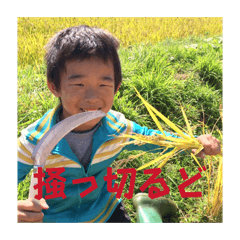 yatogi_20260323203537