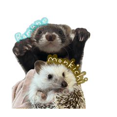 chi-doooon_20260323203659