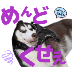 yurika_20260323081825