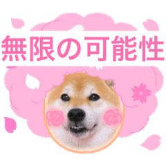 minori_20260323185944