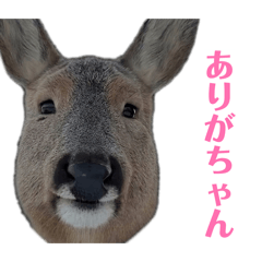 wwwww_20260323190951