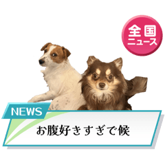 totoharumama_20260323190612