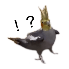 takeshinonitijyou