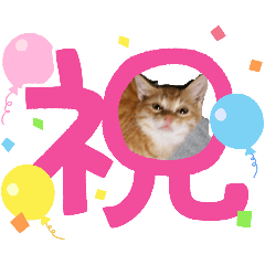 nyanz_20260323151228