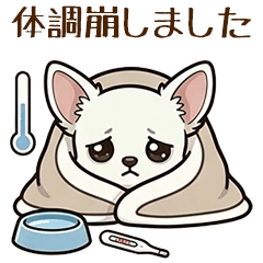 Cute Dog Not feeling well S...