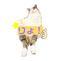 yuyuyu_20260323090350