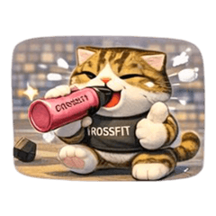 MY NAME IS GIANT V. crossfit