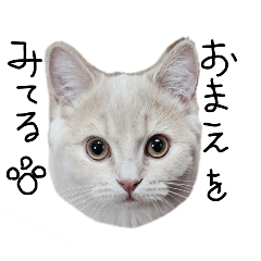 Rieko_20260323173038