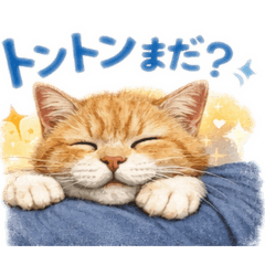 Choco chou_20260323170649