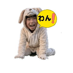 Tiramisu_20260321075303