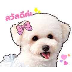 Noo Noina by Mama Som V.3