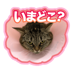 Ememugi_20260323191328