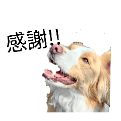 yuuronn_20260323190903