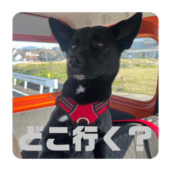 Asu01_20260323191457