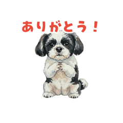 inari_20260323192238