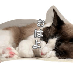 kanta_20260323192050