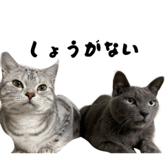 mario_20260323092712