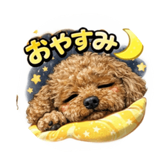 junichi_20260323102034