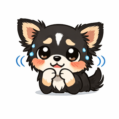 Chihuahua common traits! (Sticker)