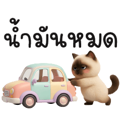 เหมียววิเชียรมาศ-น้ำมันหมด