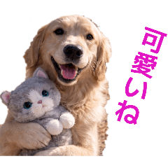 oibore_20260323211815sugaonosora