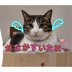 runrun_20260323212334