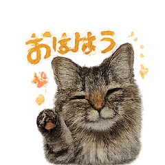 Pretty teto Sticker 1