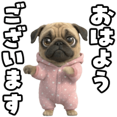 ダンシング！パグさん