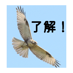 Giraffa_20260323084353