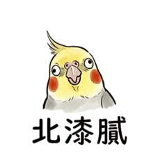 玄鳳大爺鳥生活-流氓吵架篇