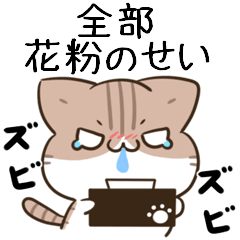 moving unmotivated calico cat greeting2