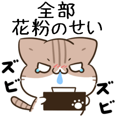 moving unmotivated calico cat greeting2