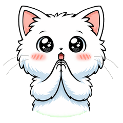 Shira-nyan: The Expressive White Cat