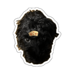 wanwan_20260323220750