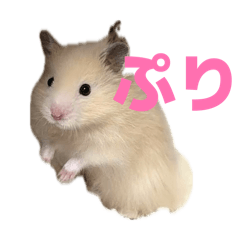 atchisoon_20260323231910