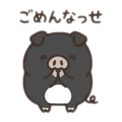 popola_20260323233406