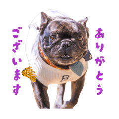 _iamnaki__20260319113432