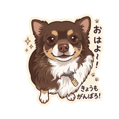 Kamiya_20260323220522