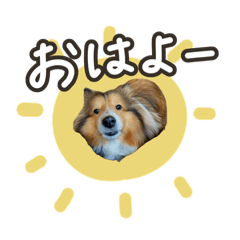 momono-kanzume_20260323215958