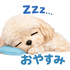 Blackberry_20260323231801