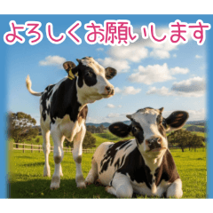 PAKAMOGOLY_20260324001412