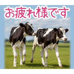 PAKAMOGOLY_20260324001055