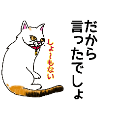 shige_20260324000908