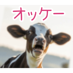 PAKAMOGOLY_20260324002006